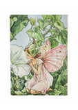 Bindweed Fairy Softcover Midi Defter